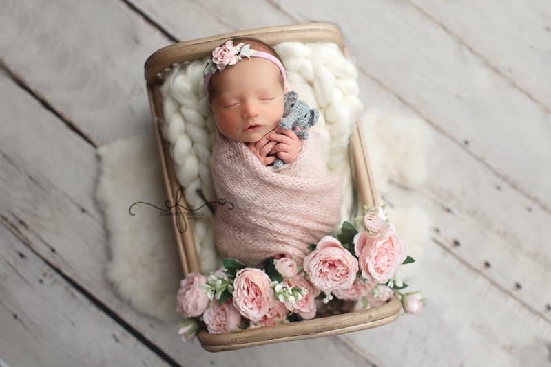 Newborn Bed Pose | Wrapped Newborn | Elephant Newborn | CT Newborn Photographer Elizabeth Frederick Photography