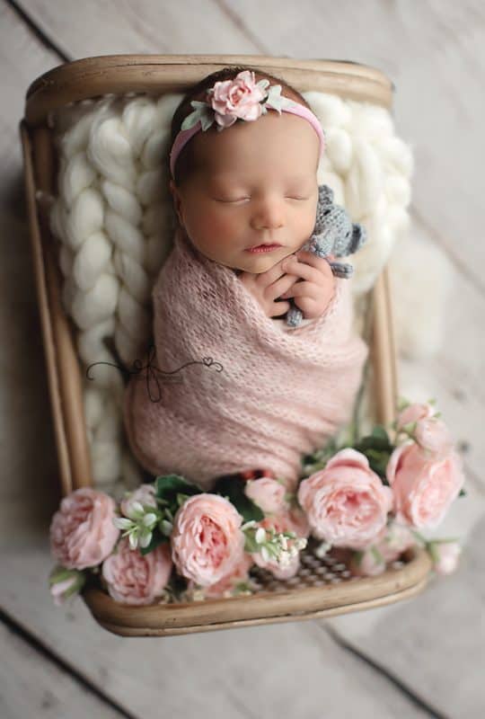 Newborn Bed Pose | Wrapped Newborn | Elephant Newborn | CT Newborn Photographer Elizabeth Frederick Photography