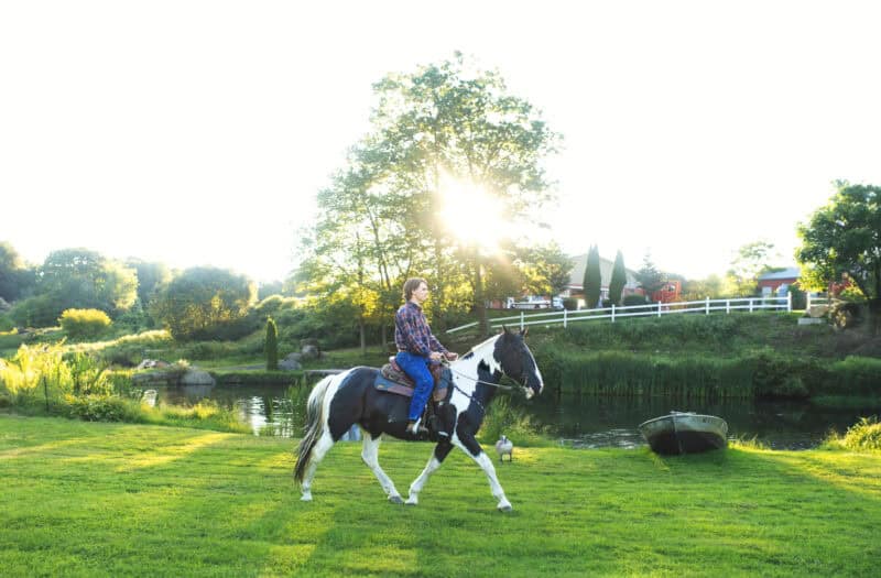 HM-Senior-17 Relaxed senior portraits with horse on a Connecticut horse farm